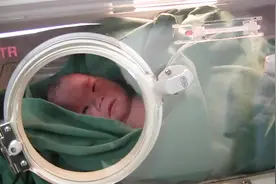 新生儿宝宝在保温箱里躺的很舒服，偶尔也会努力睁开眼看看这世界视频封面