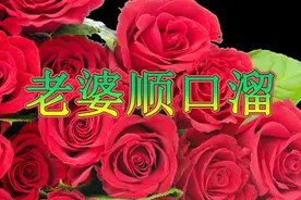 2018新编《老婆顺口溜》男人都听听！老婆就是天，有酒也有烟！视频封面