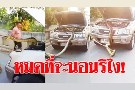 泰国超长巨蟒藏身汽车引擎盖下视频封面