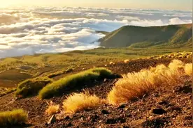 一首超好听的冥想放松音乐《Zborul(飞行)》让心如此宁静和感动