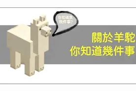 我的世界MC：关于神兽羊驼你可能不知道的那些事