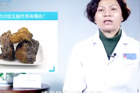 47桦树茸的功效及副作用有哪些？桦树茸的功效及副作用有哪些？