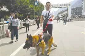 功勋搜救犬“沈虎”重回北川：地震中 它救出15人图片
