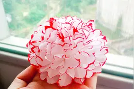 母亲节手工：只用家里的纸巾就能DIY大朵康乃馨，不用花钱买材料