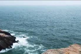 来看看智商163的人，结局也很凄凉