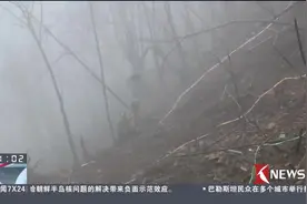 征服“死亡地带”！中越边境云南段扫雷 20米搜出几十枚地雷！视频封面