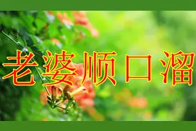 2018最新《老婆顺口溜》男人都听听，老婆就是天，有酒也有烟！视频封面