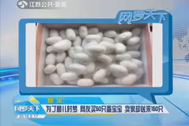 想看吐丝结茧 小姐姐网上买50只蚕宝宝 收到之后傻了视频封面