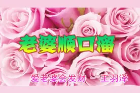 2018最新《老婆顺口溜》老婆就是天，有酒也有烟，男人越听越幸福视频封面