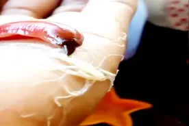 科普！网络曾经疯传的外星生物一般的虫子，是这样的视频封面