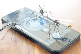 手机里都有驱除蚊子的功能，打开超声波就可以，很简单视频封面