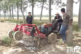 农村大叔买来新机器，出大蒜效率真不低，据说很快能收回成本视频封面