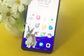 打开手机这个功能，可以养一只宠物，兔子猫咪老鼠都可以！视频封面