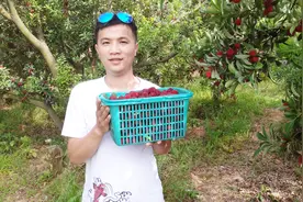 湖南邵东这片1000亩杨梅基地远近闻名，是时候周末约起了视频封面