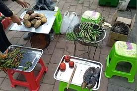 烤茄子和烤辣椒吃过吗？10元一斤，买了5块钱的