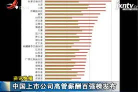 中国上市公司高管薪酬百强榜发布视频封面