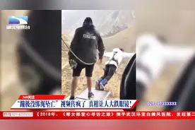 “蹦极没绑绳坠亡”视频疯传，当事人出来辟谣，真相大跌眼镜！