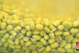 教你用豆浆机做绿豆糕，半斤绿豆做一盘，清热又营养