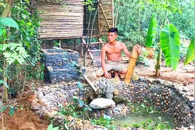 鱼池建好了，小哥又造了过滤池，种了香蕉树，这样对养鱼有好处吗