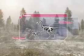 身长2米的伤齿龙，它们的主要食物却是，12米长的埃德蒙顿龙