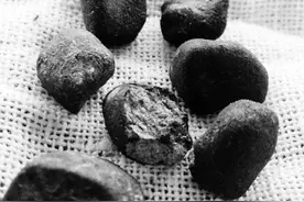 陨石被热炒 专家：1克就几十元图片