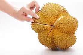 教你一招轻松打开榴莲外壳的小技巧，学会之后轻松吃榴莲