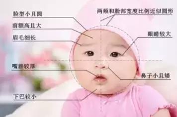 娃娃脸是张什么脸?为什么娃娃脸受欢迎?