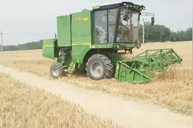 农村麦收：今年小麦联合收割机一亩地50元，送户到家的话每亩60元视频封面