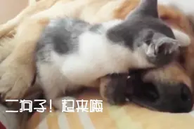 女朋友失眠VS男朋友失眠