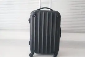 废旧行李箱可是个宝，千万别丢掉，它的神奇妙用很多人都不知道！