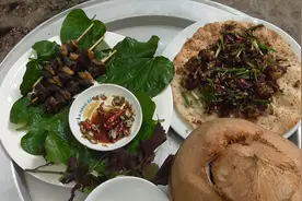 蜗牛也能吃？越南将蜗牛制作出3种吃法，每一种味道都不想错过视频封面