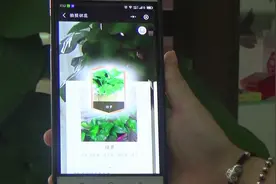 微信最新功能，只要对着花草拍张照，手机立马显示植物名视频封面