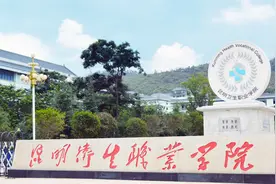 学“医”技之长｜圆“天使”梦想——昆明卫生职业学院欢迎您视频封面