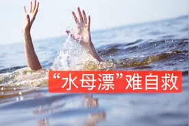 实测！溺水时“水母漂”可自救 怎么漂？靠谱吗？