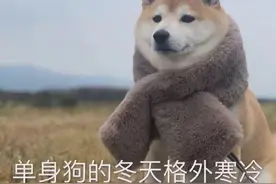 网友模仿女朋友说阴阳怪气的话，哈哈代入感太强，已经在挨打了图片