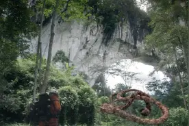 蚂蚁遇水抱团过河，拥有智慧的蚂蚁遇到攻击，却抱团成蛇进行攻击视频封面