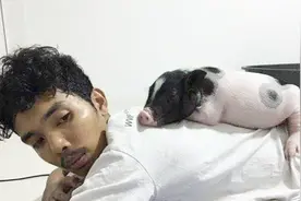 泰国小伙女朋友是一头200斤母猪，同吃同住，还要娶它当老婆！视频封面