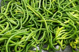 农村制作干豆角的秘方，不用水煮，学会这一招，干豆角才又脆又香