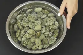 盐水泡花蛤还是有沙子？教你一招，15分钟沙子全吐干净，太厉害了