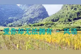 风语一首《爱你却无法拥有》催人泪下，唱哭多少痴情的男女！