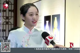 清朝瓷器的巅峰之作！国家一级文物清粉彩灯笼瓶 亮相沈阳故宫！视频封面