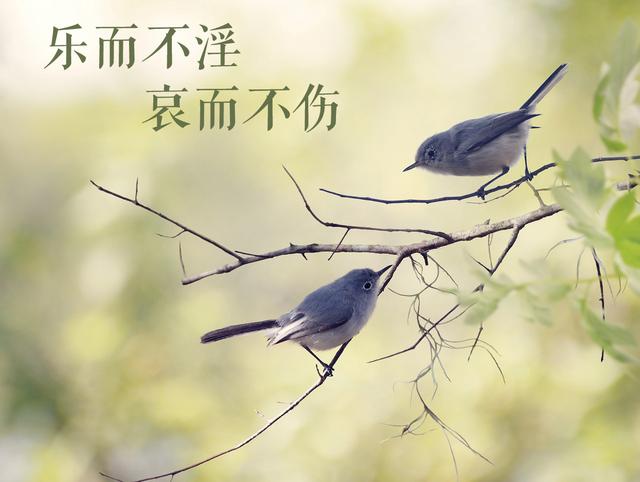 发乎情而止乎礼义的含义（学讲话·品典故乐而不淫）