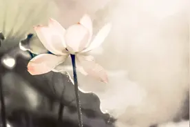 为什么你很有才能，工作中却总有人不喜欢你？这才明白