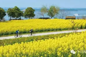 人人都说阳澄湖好，我却只想和你在这慢慢变老图片