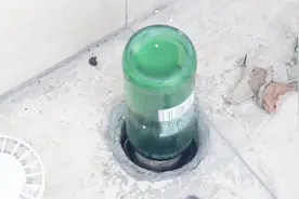 屋里有小飞虫怎么办？教你用啤酒瓶高效灭飞虫，小飞虫全消失视频封面