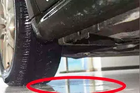 一分钟告诉你，车里的积水都是从哪里进来的，应该怎么处理！视频封面