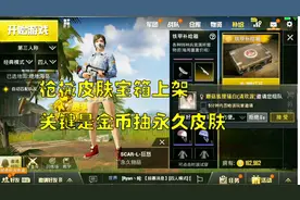 刺激战场枪械皮肤宝箱上架，16万金币抽皮肤结果让我怀疑人生视频封面