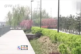 《办好一次会，搞活一座城》城阳区：推动各项工作再上新台阶视频封面