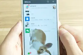 教你在手机养只宠物，不仅可以在微信界面来回跑而且还会叫