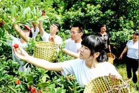 什么果子被外国人称为“中国草莓”？外国人吃一口欲罢不能！视频封面